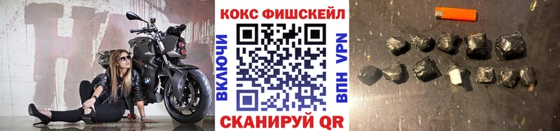 КОКАИН Fish Scale  Строитель 