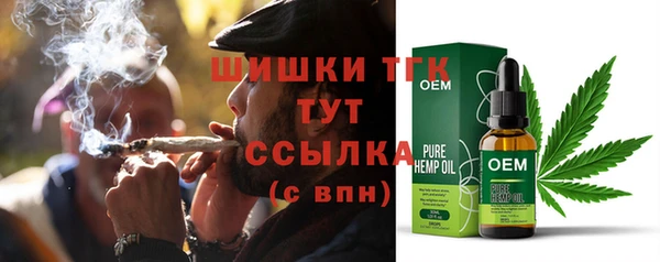 стаф Покачи